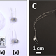Figures from the paper showing the controller components and finished construction. (i) the cap and wooden pin, (ii) is a cork and stainless steel sinker to keep the enclosure buoyant, (iii) is a microprocessor with a (iv) battery attached, and (v) are two electrodes with LEDs.